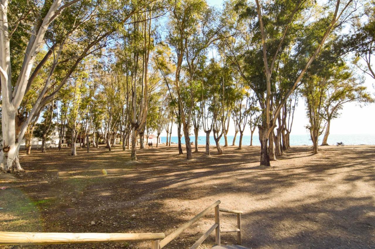 Letmalaga Banos Del Carmen One Lägenhet Exteriör bild